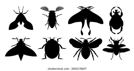 Icono Animal de Insect Vector de Bug de Silueta Negra Aislado Plano.