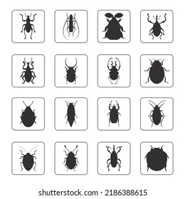 insect animal shape icon design of various species, icon color is black