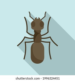 Insect ant icon. Flat illustration of Insect ant vector icon for web design
