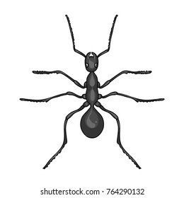 Insect ant single icon in monochrome style for design.Pest Control Service vector symbol stock illustration web.