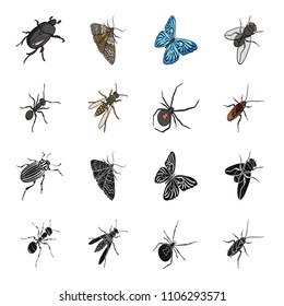 An insect arthropod, an osa, a spider, a cockroach. Insects set collection icons in black,cartoon style vector symbol stock isometric illustration web.
