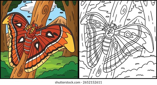 Insect Atlas Moth Animal Colored Illustration 
