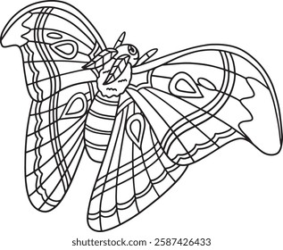 Insect Atlas Moth Animal Isolated Coloring Page 