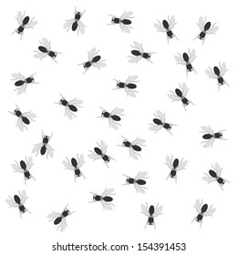 insect background