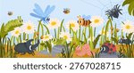 Insect background. Kid scene with bugs. Natural field scenery in grass with funny ladybug, spider, bee, worm, ant, caterpillar, dragonfly. Vector cute child insects concept.