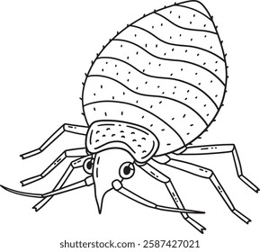 Insect Bed Bug Animal Isolated Coloring Page 