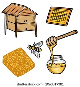 Insect bee, honeycomb, glass bowl, dripping honey, bee hive vector illustration isolated on white.