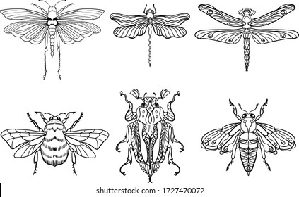 Insect bees, dragonflies, beetles, moths. Set. Vintage hand drawn engraving vector collection. Black-white on a white background. Ideal for postcards or for any other design, coloring.