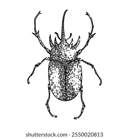 besouro inseto desenhado à mão. carapaça escaravelho, antenas elytra, entomologia biodiversidade inseto besouro vetor esboço. ilustração preta isolada