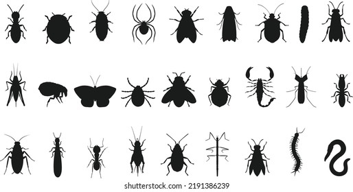 Insect beetle isolated bug fly beetle isolated Vector Silhouettes