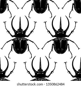Insect beetle isolated on white background. Seamless pattern. Black and white sketch. Realistic drawing bug. Vector illustration.
