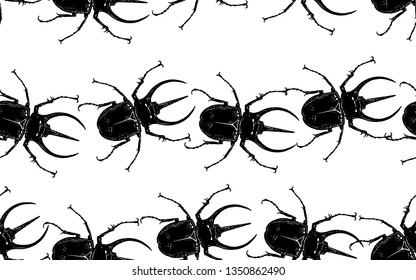 Insect beetle isolated on white background. Seamless pattern. Black and white sketch. Realistic drawing bug. Vector illustration.
