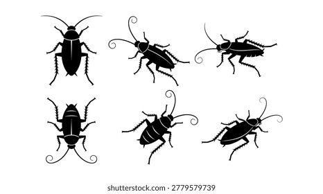 Insect beetles silhouettes collection - diverse bugs and critters icons