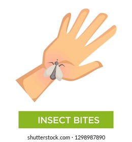 Insect bites allergy and red swelling human palm and pest vector sting inflammation infection and itching flea or fly mosquito redness skin rash medicine and medical treatment isolated body part.