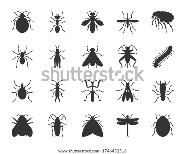 Insect Black Glyph Icons Set Pest Stock Vector (Royalty Free ...