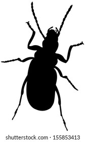 an insect body silhouette vector
