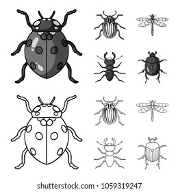 Insect, bug, beetle, paw .Insects set collection icons in outline,monochrome style vector symbol stock illustration web.