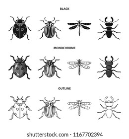 Insect, bug, beetle, paw .Insects set collection icons in black,monochrome,outline style vector symbol stock illustration web.