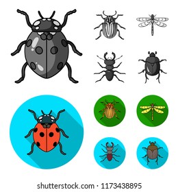 Insect, bug, beetle, paw .Insects set collection icons in monochrome,flat style vector symbol stock illustration web.