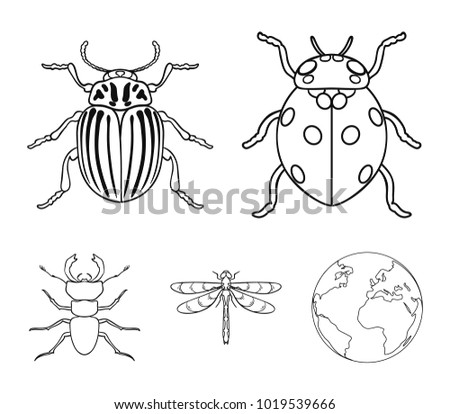 Insect, bug, beetle, paw .Insects set collection icons in outline style vector symbol stock illustration web.