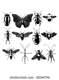 Insect and bug collection in detailed vector silhouette