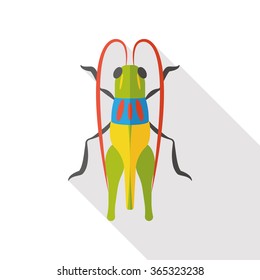 insect bug flat icon