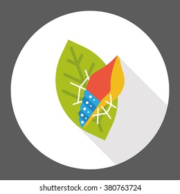 insect bug flat icon