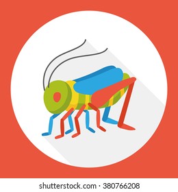 insect bug flat icon