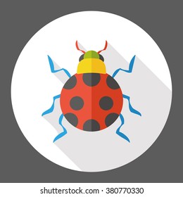 insect bug flat icon