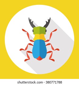 insect bug flat icon