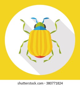 insect bug flat icon