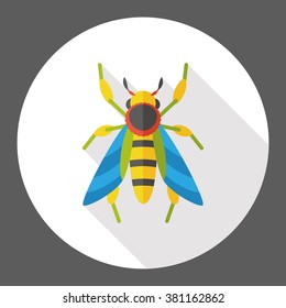 insect bug flat icon