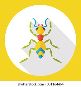 insect bug flat icon
