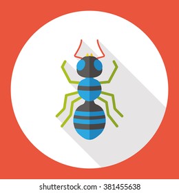 insect bug flat icon