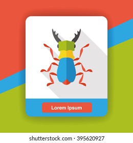 insect bug flat icon