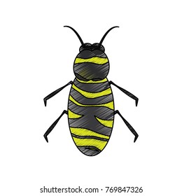 insect bug icon image 