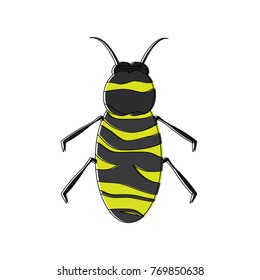 insect bug icon image 