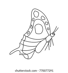insect bug icon image 