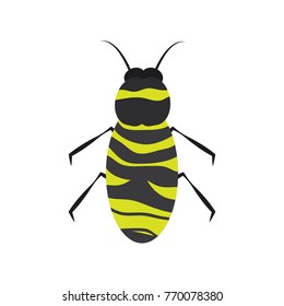 insect bug icon image 