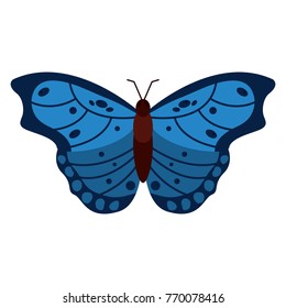 insect bug icon image 