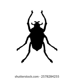 Insect bug icon silhouettes vector design illustration, isolated white background