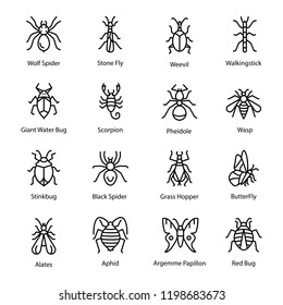 Insect And Bug Icons