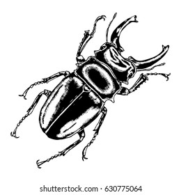 Insect, bug, scarab beetle. Trendy embroidery stippling and hatching, shading style. Stipple art. Vector.