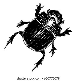 Insect, bug, scarab beetle. Trendy embroidery stippling and hatching, shading style. Stipple art. Vector.