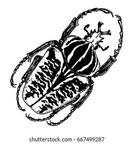 Insect, bug, scarab beetle. Trendy embroidery stippling and hatching, shading style. Stipple art. Vector.