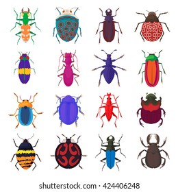 Insect bug set