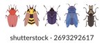 Insect Bugs and Beetle with Antenna and Multiple Legs Vector Set
