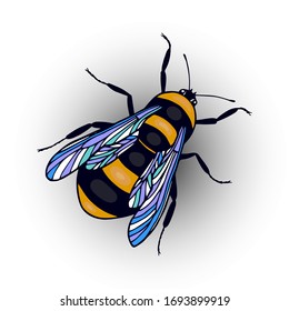 Insect bumblebee. eps10 vector stock illustration. hand drawing. 
