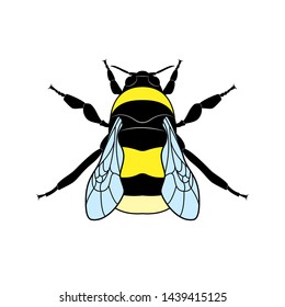 Insect bumblebee isolated on white background. Animals, nature, wildlife. Sign and symbol. Flat design. Vector EPS10
