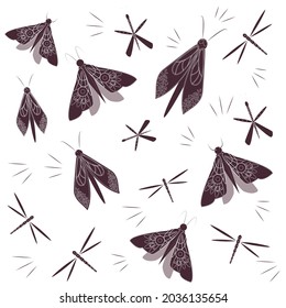 Insect butterflies. Use for backgrounds, books, postcards, screensavers.